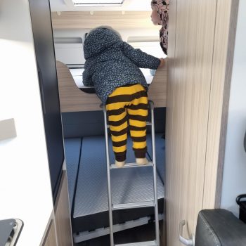 6-Mit-Leiter-scaled 6-Mit-Leiter-scaled