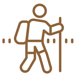 icons8_trekking_500px